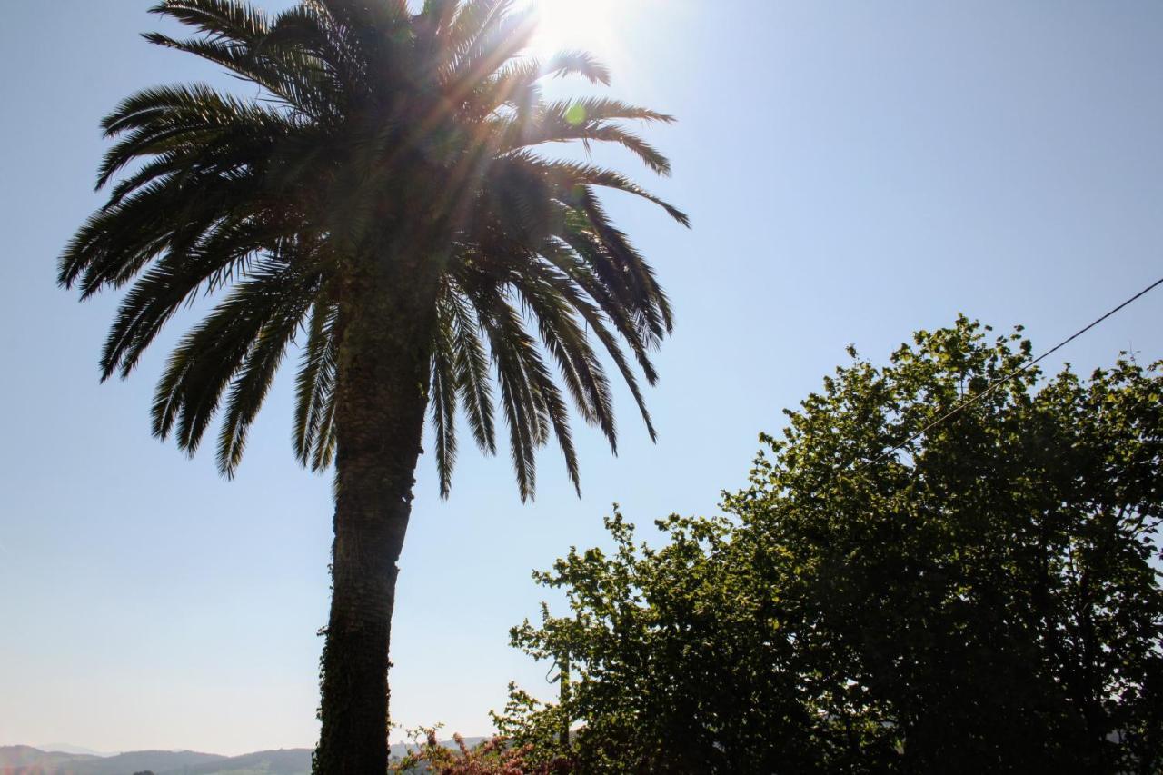 Casa La Palmera Gormazo ภายนอก รูปภาพ